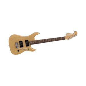 YAMAHA EG112GC / WASHBURN N1BPACK